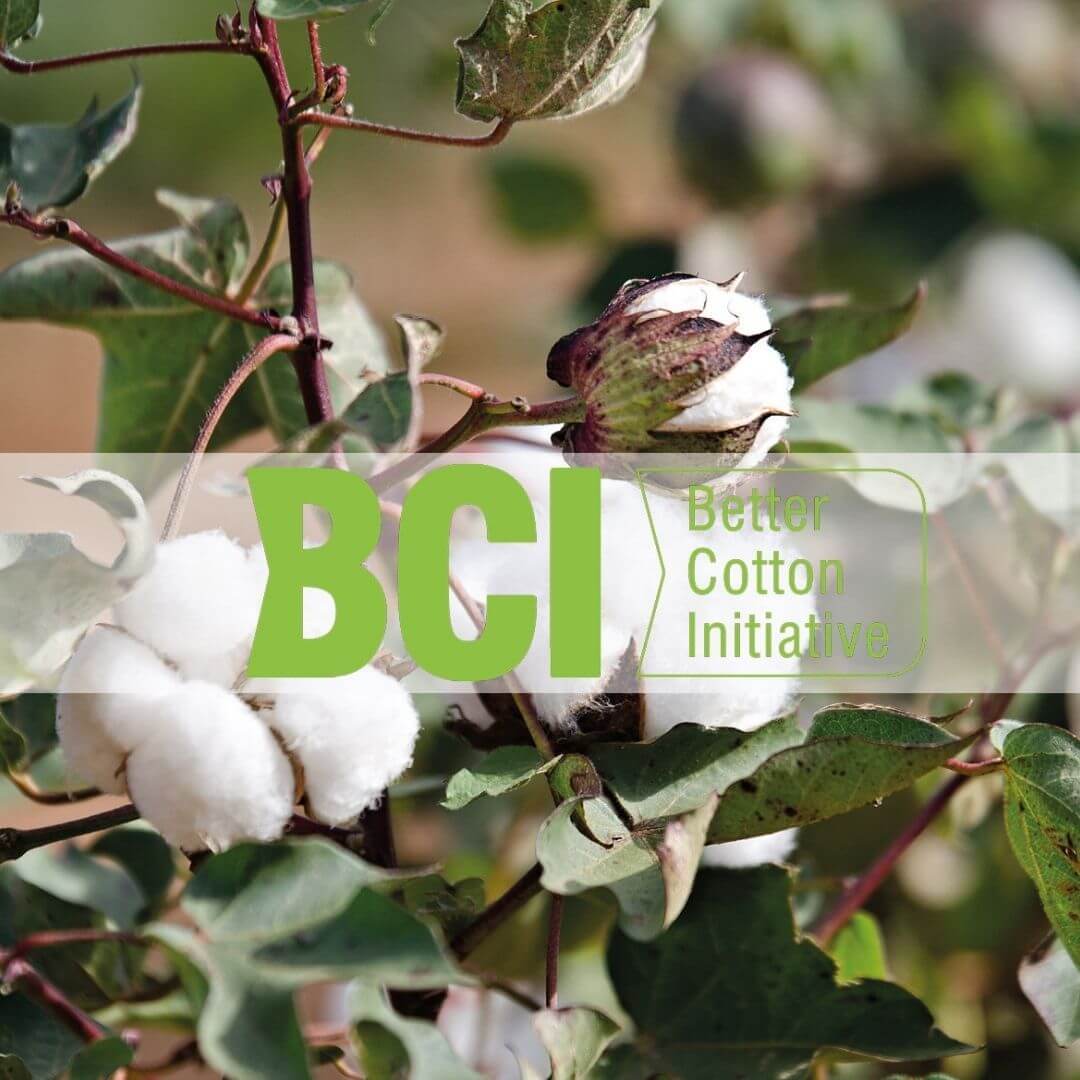 What is BCI and why are we so into it? | Timeless London